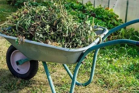 Топ-5 приемов от сорняков, чтобы не росла трава. И безвредно!