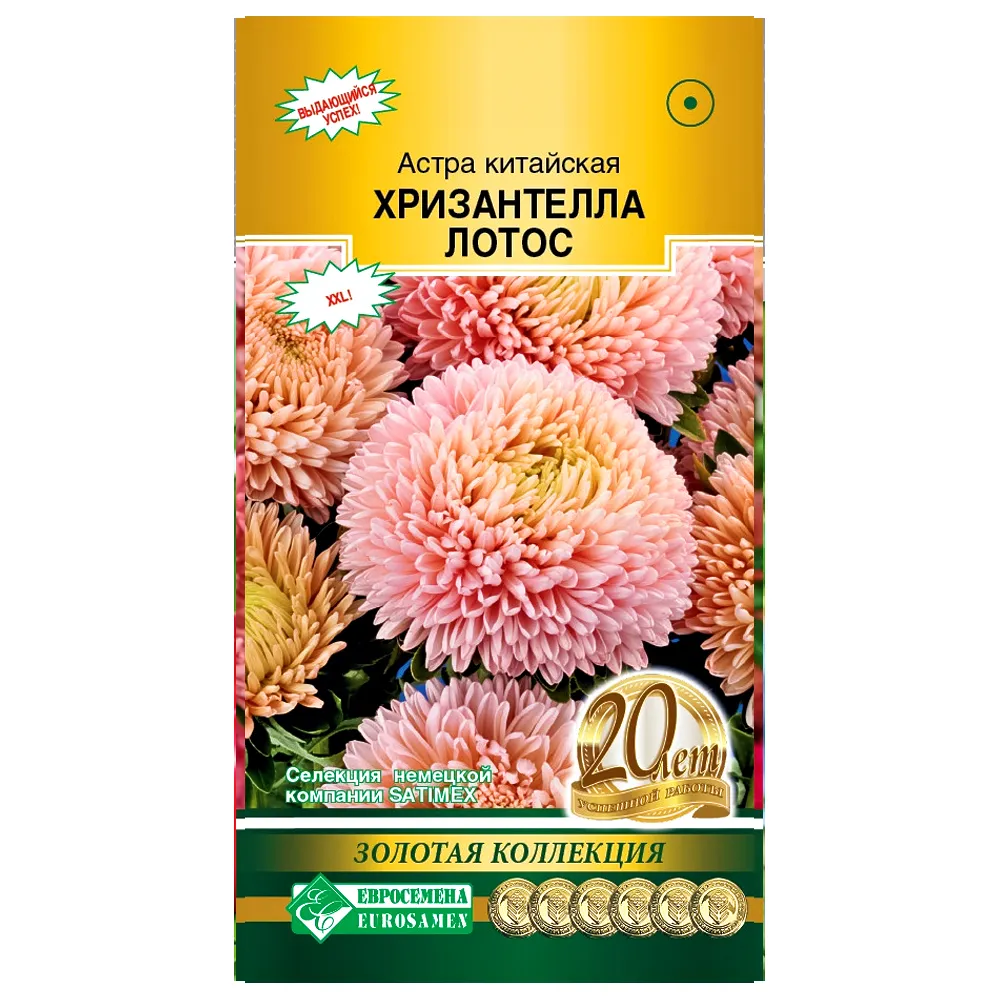 АстракитайскаяХризантеллаЛотосЕвросемена