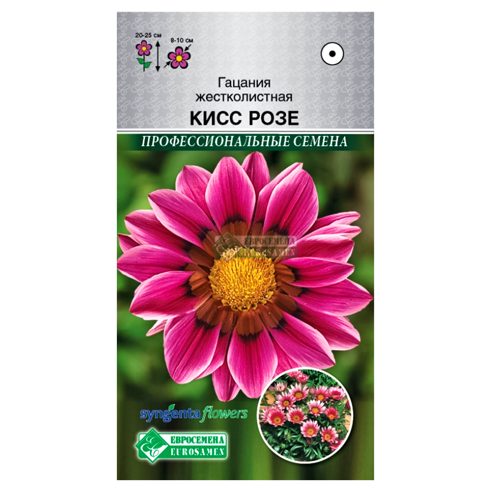 

Гацания Кисс Розе Евросемена