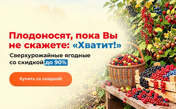 Плодоносят, пока Вы не скажете: «Хватит!». Сверхурожайные ягодные со скидкой до 90%