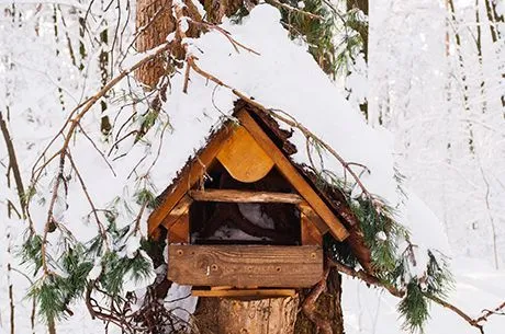 Календарь садовода и огородника на январь 2020
