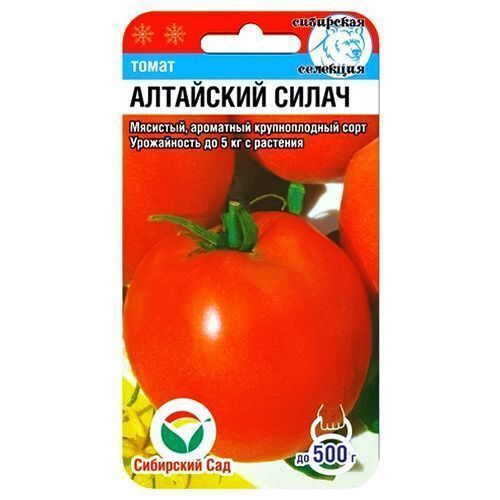

Томат Алтайский силач Сибирский сад