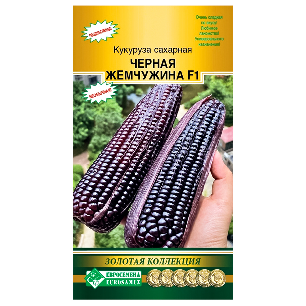 

Кукуруза Черная жемчужина F1 Евросемена