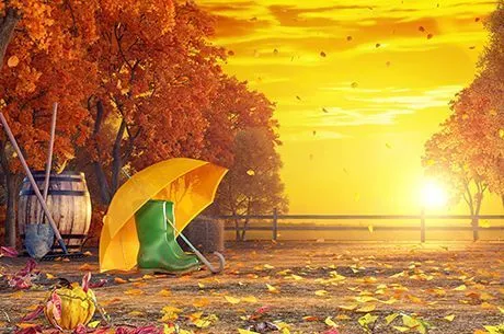 Календарь садовода и огородника на ноябрь 2020