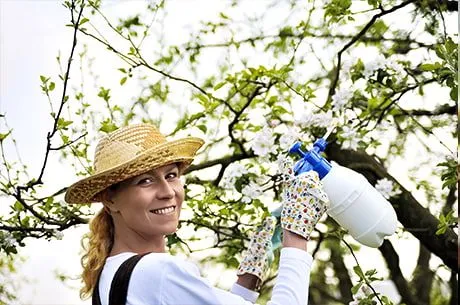 Весна пришла: что нужно сделать в огороде в марте?