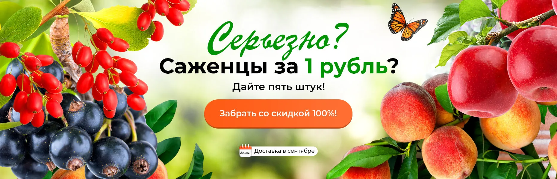 Серьезно? Саженцы за 1 рубль? Дайте пять штук! Доставка в сентябре