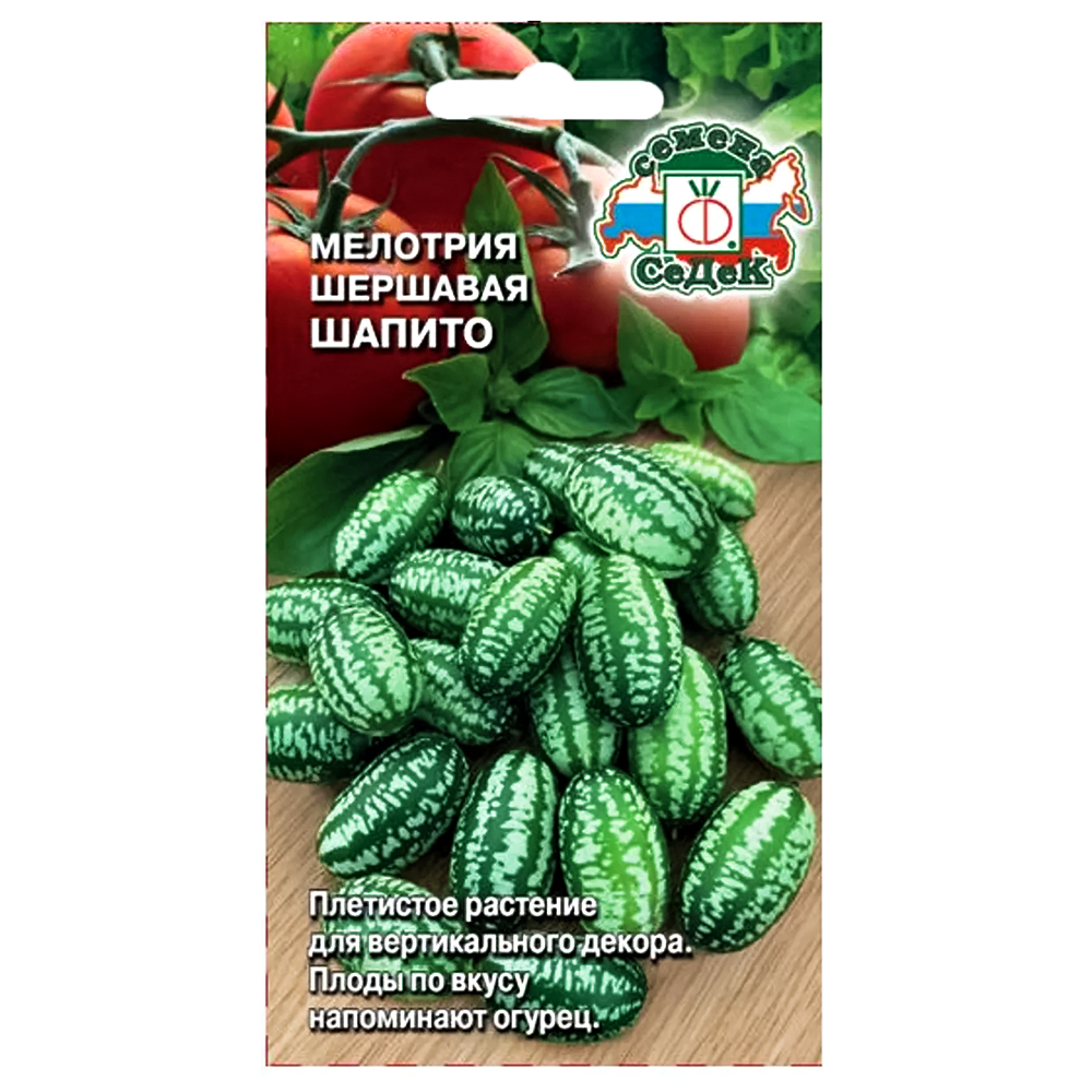 

Мелотрия Шапито Седек