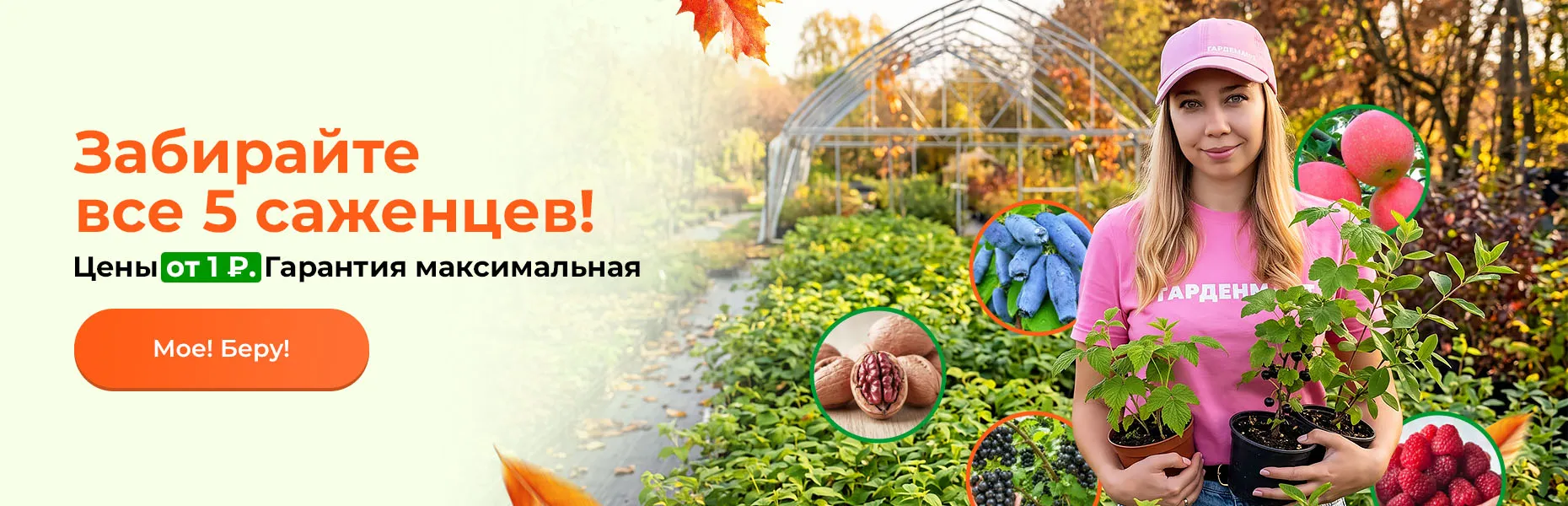 Забирайте все 5 саженцев! Цены от 1 рубля. Гарантия максимальная