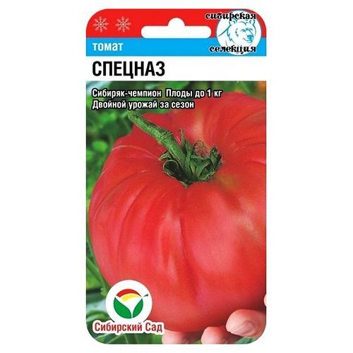 

Томат Спецназ Сибирский сад