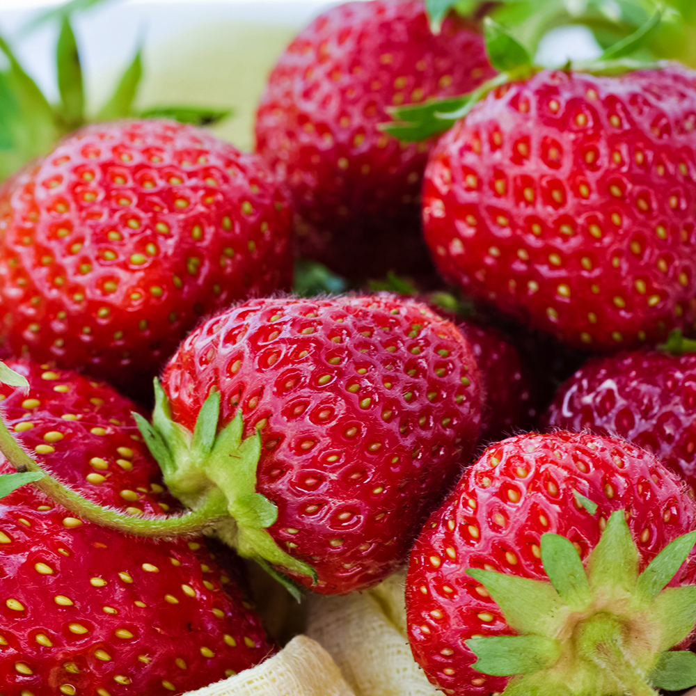 

Земляника ремонтантная (крупноплодная) изысканного вкуса Амандин, 5 саж.