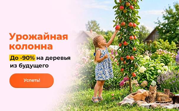 Урожайная колонна! До -90% на деревья из будущего