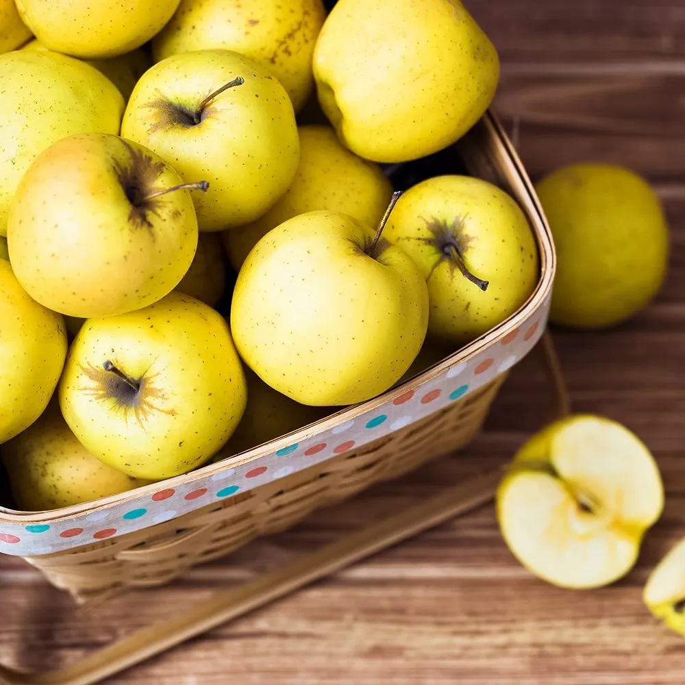 ЯблоняколоновиднаясибирскаяКитайказолотая