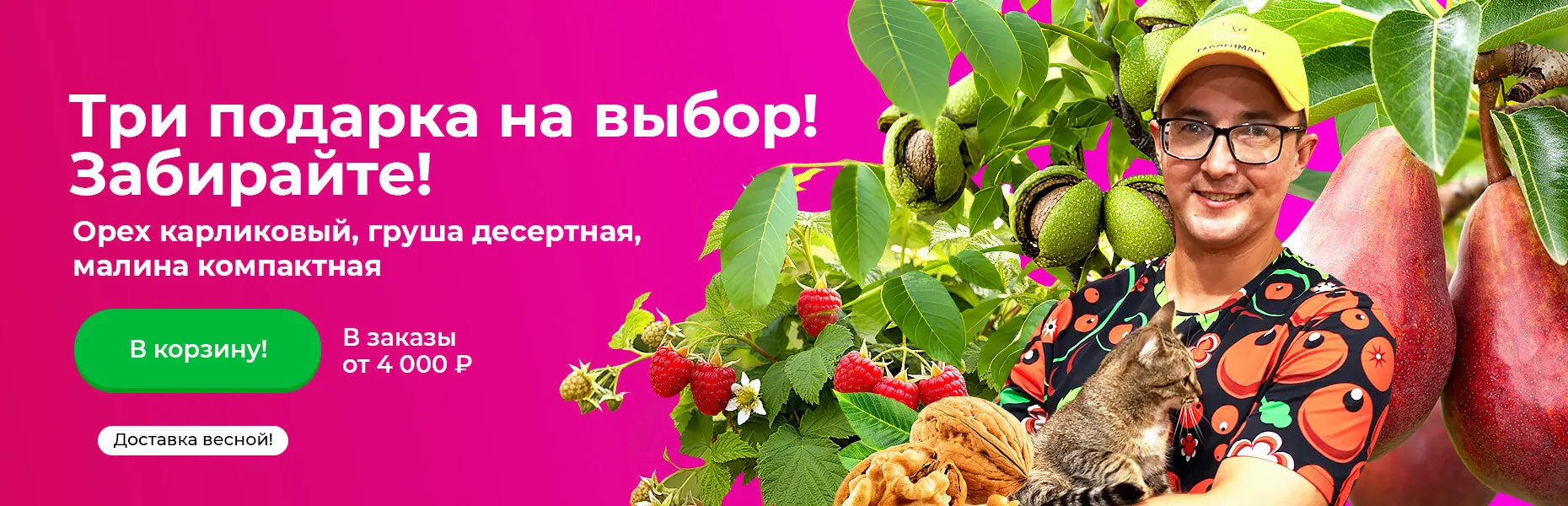 Три подарка на выбор! Забирайте! Орех карликовый, груша десертная, малина компактная! В заказы от 4000 рублей. Доставка весной!