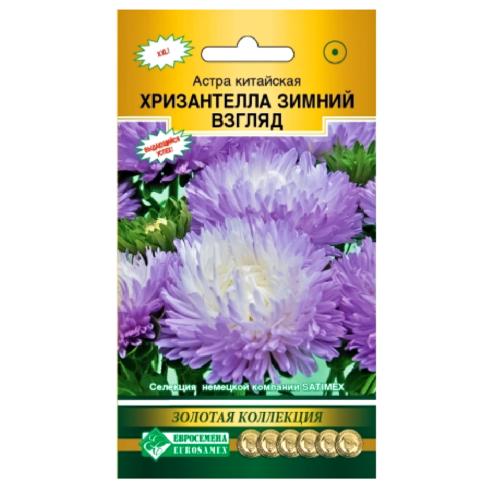 Астра китайская Хризантелла Зимний взгляд Евросемена