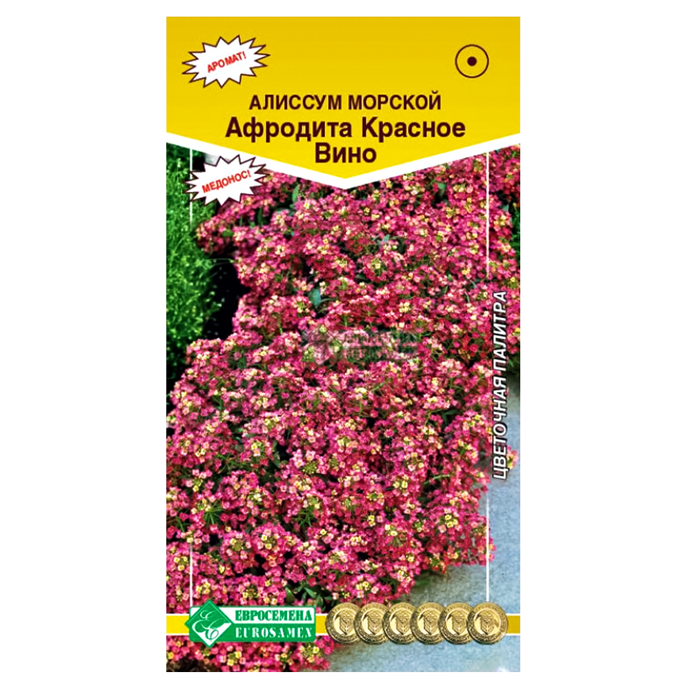 Алиссум морской Афродита Красное вино Евросемена