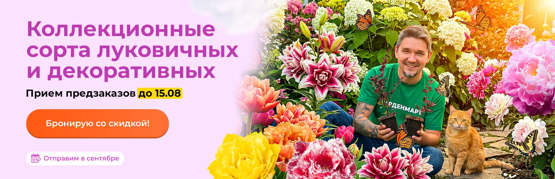 Коллекционные сорта луковичных и декоративных! Прием предзаказов до 15.08. Отправим в сентябре