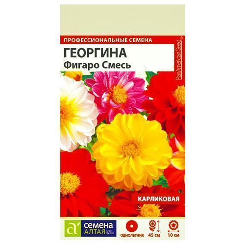 

Георгина махровая Фигаро, смесь окрасок Семена Алтая