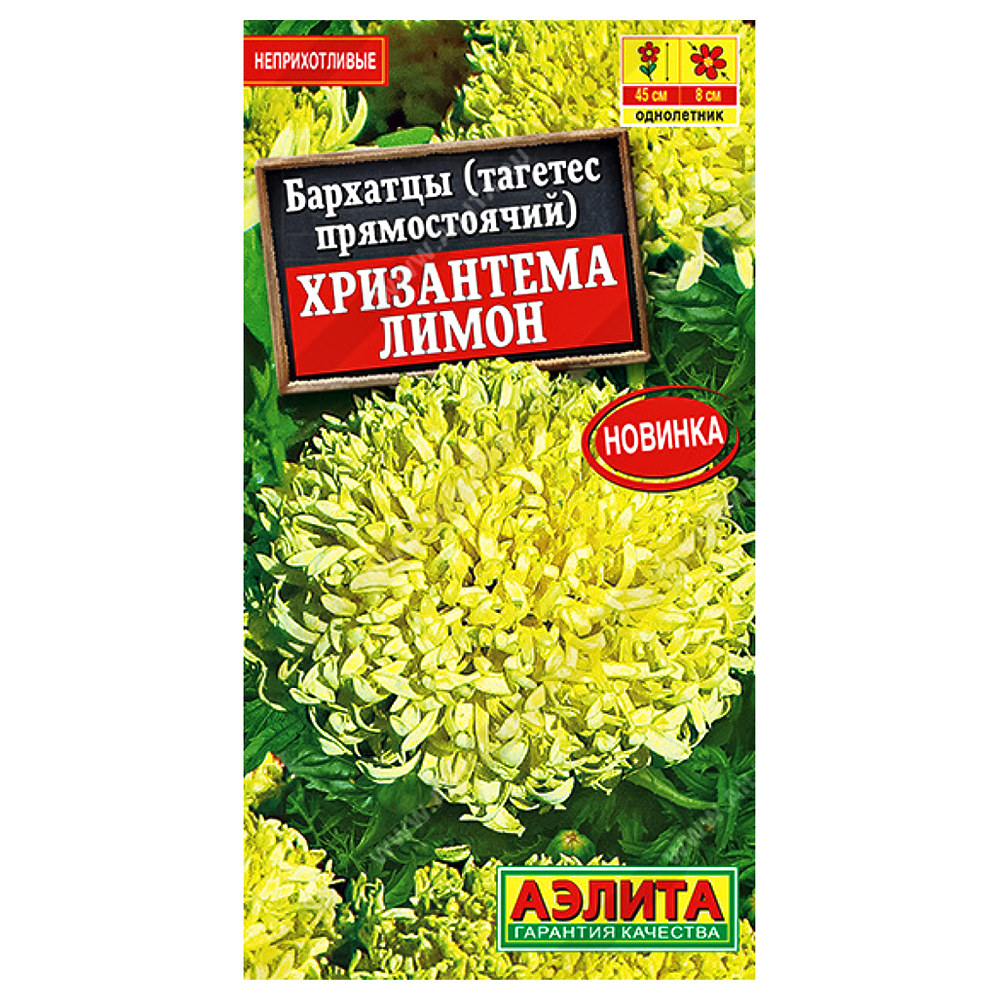 

Бархатцы прямостоячие Хризантема Лимон Аэлита