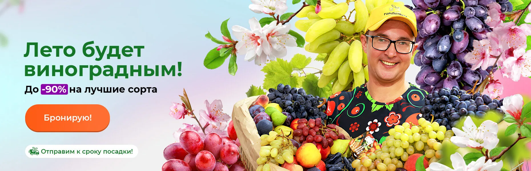 Лето будет виноградным! До -90% на лучшие сорта! Отправим к сроку посадки!