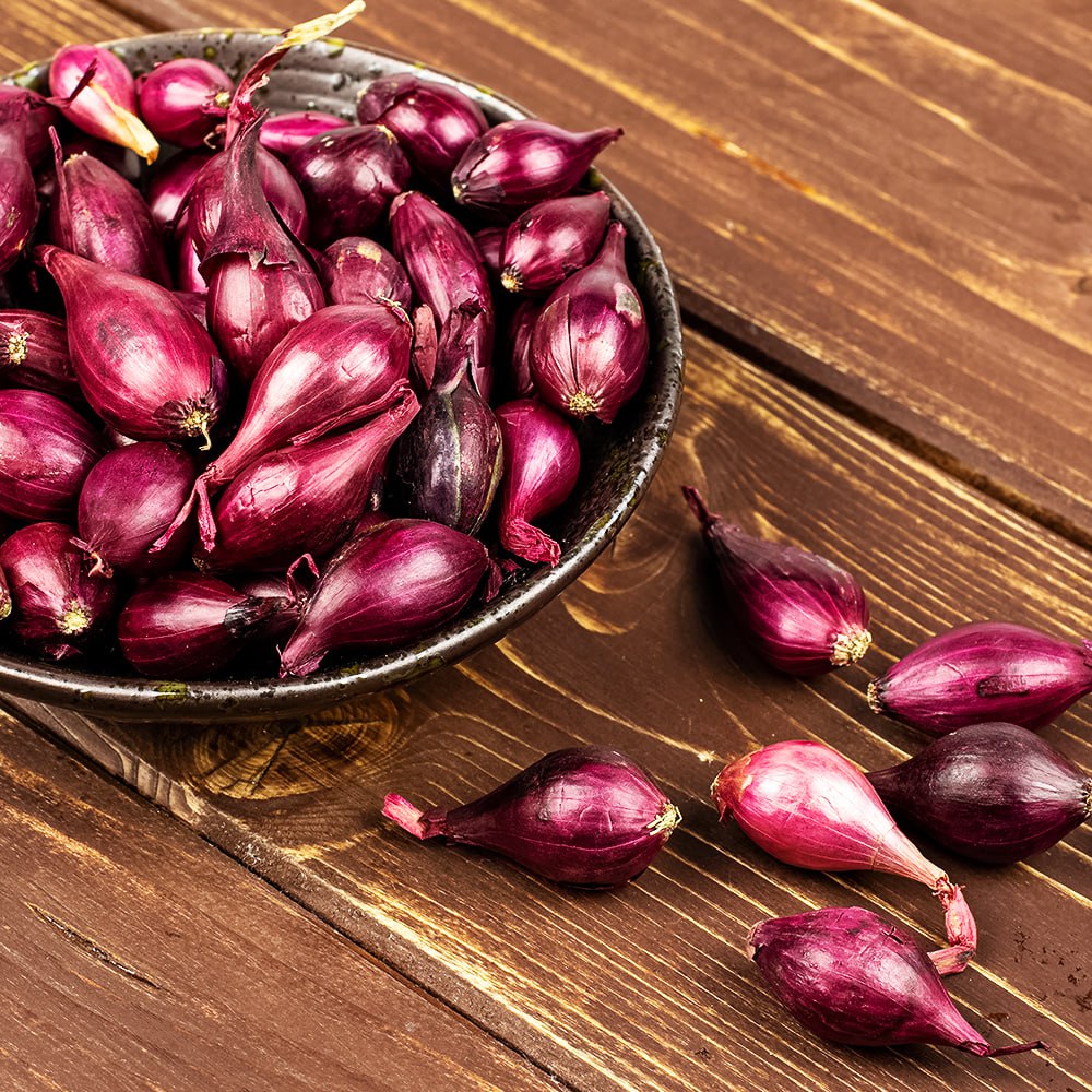 

Лук-севок Кармен