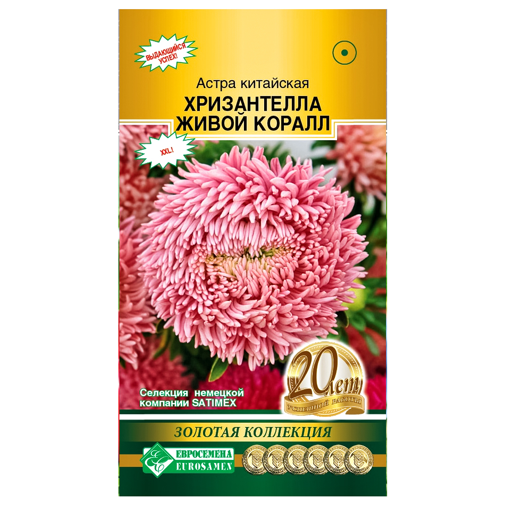 Астра китайская Хризантелла Живой коралл Евросемена