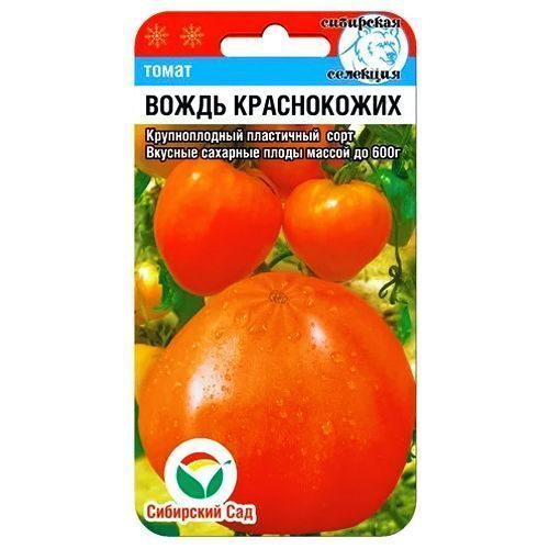 

Томат Вождь краснокожих Сибирский сад
