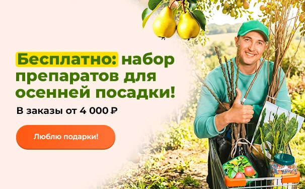 Бесплатно: набор препаратов для осенней посадки! В заказы от 4 000 рублей