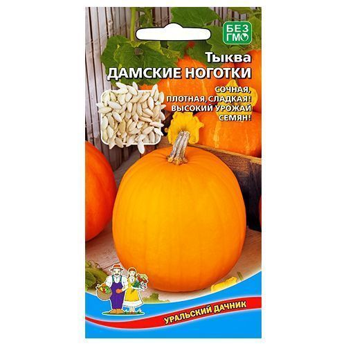 

Тыква Дамские ноготки Уральский дачник