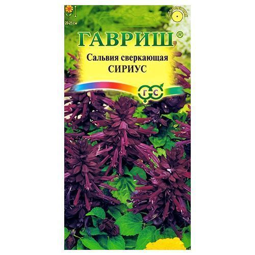 

Сальвия Сириус Гавриш
