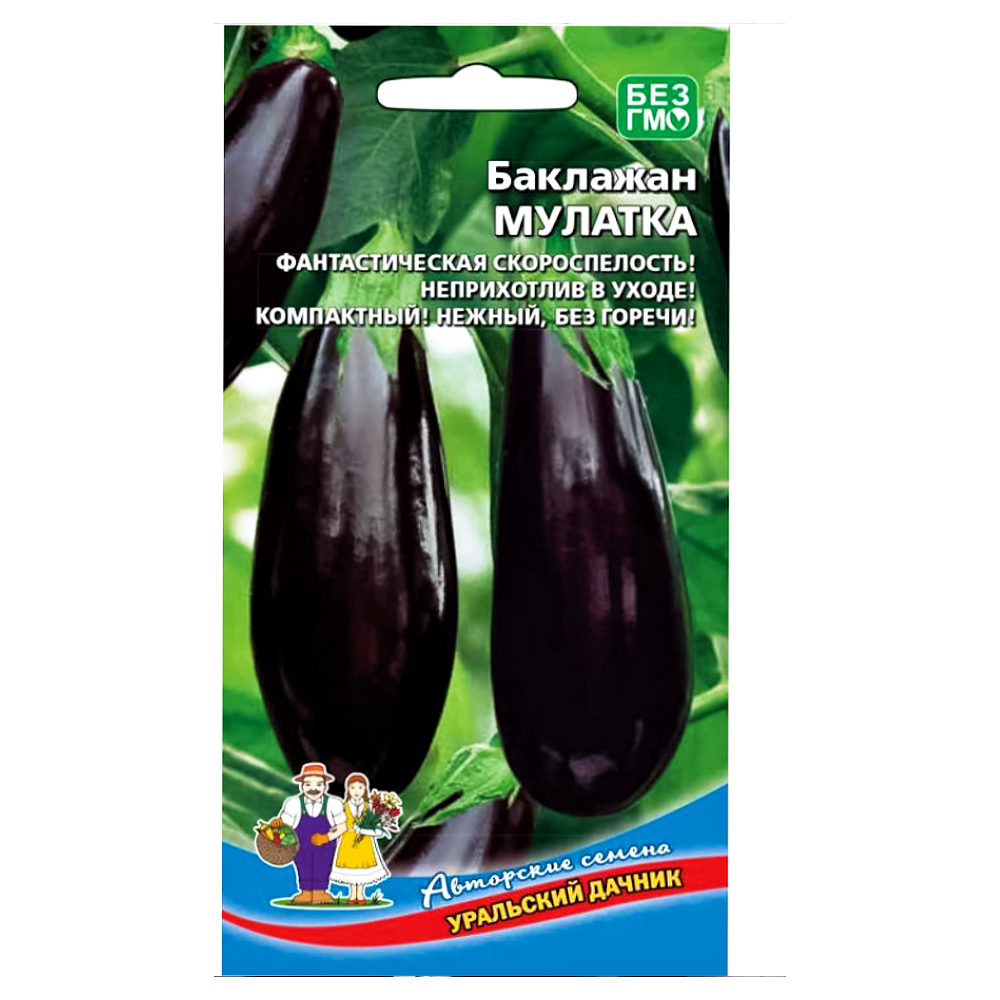 

Баклажан Мулатка Уральский дачник