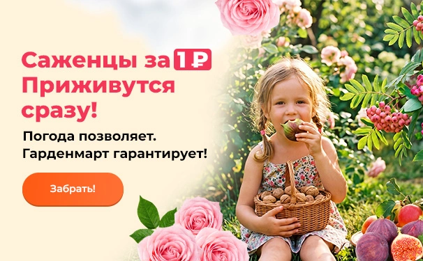 Саженцы за 1 рубль. Приживутся сразу! Погода позволяет. Гарденмарт гарантирует!