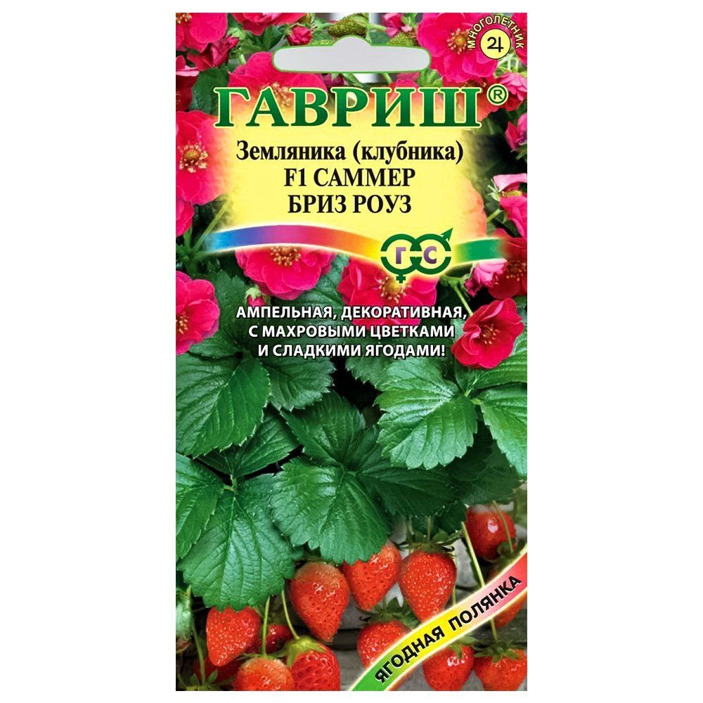 

Земляника крупноплодная ремонтантная Саммер Бриз Роуз F1 Гавриш