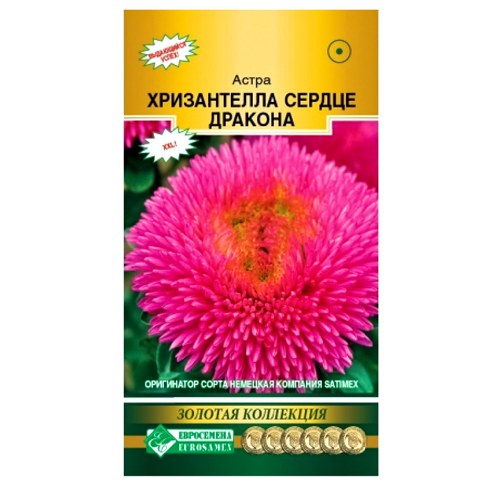 Астра китайская Хризантелла Сердце дракона Евросемена