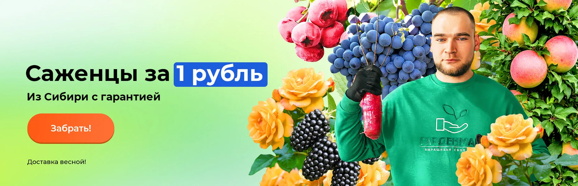 Саженцы за 1 рубль! Из Сибири с гарантией! Доставка весной!