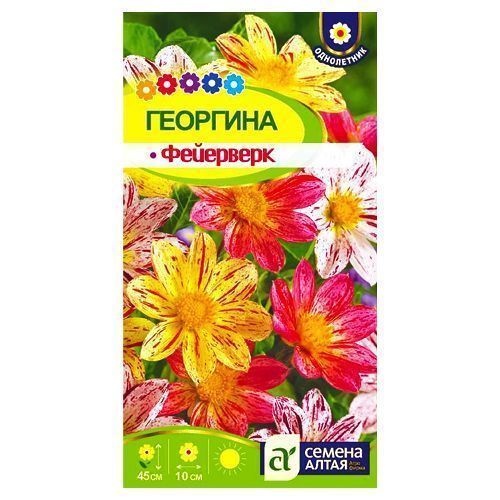 

Георгина Фейерверк, смесь окрасок Семена Алтая