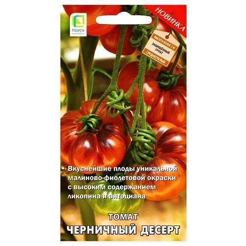 

Томат Черничный десерт Поиск