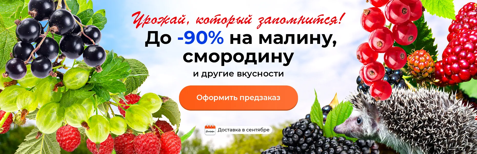 Урожай, который запомнится! До -90% на малину, смородину и другие вкусности