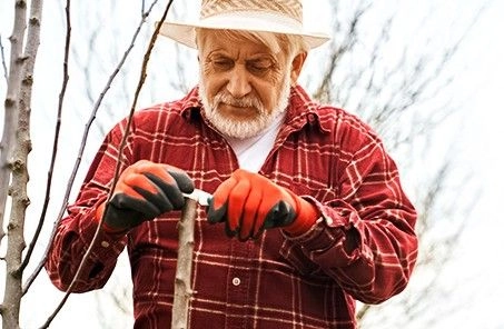 Что нужно успеть по огороду в феврале? Что нужно успеть по огороду в феврале?
