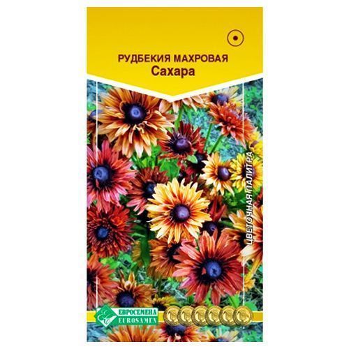 

Рудбекия волосистая Сахара Евросемена