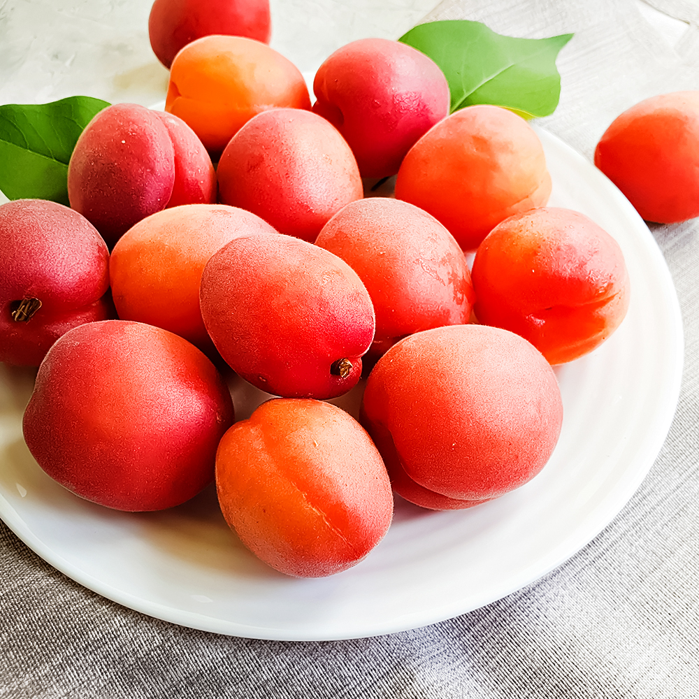 

Абрикос для позднего урожая Дженгат