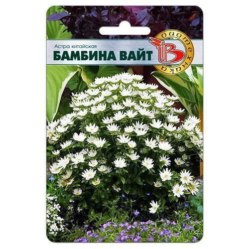 

Астра китайская Бамбина Вайт Биотехника