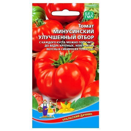 

Томат Минусинский улучшенный отбор Уральский дачник