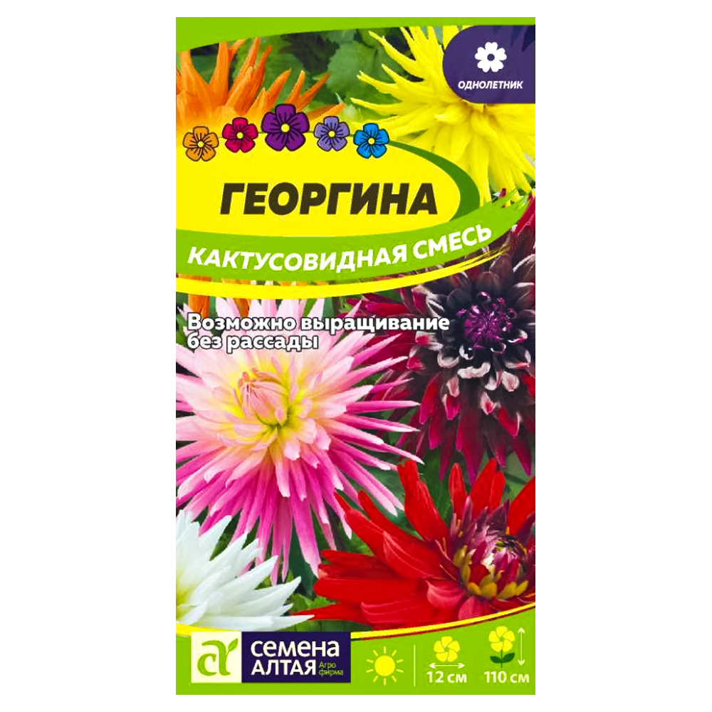 

Георгина Кактусовидная, смесь окрасок Семена Алтая