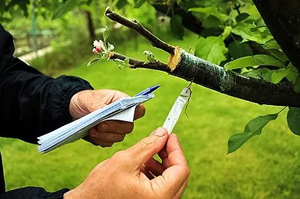 Открываем сезон: что нужно сделать на даче в июне?