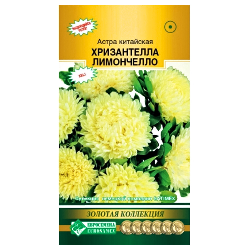 Астра китайская Хризантелла Лимончелло Евросемена