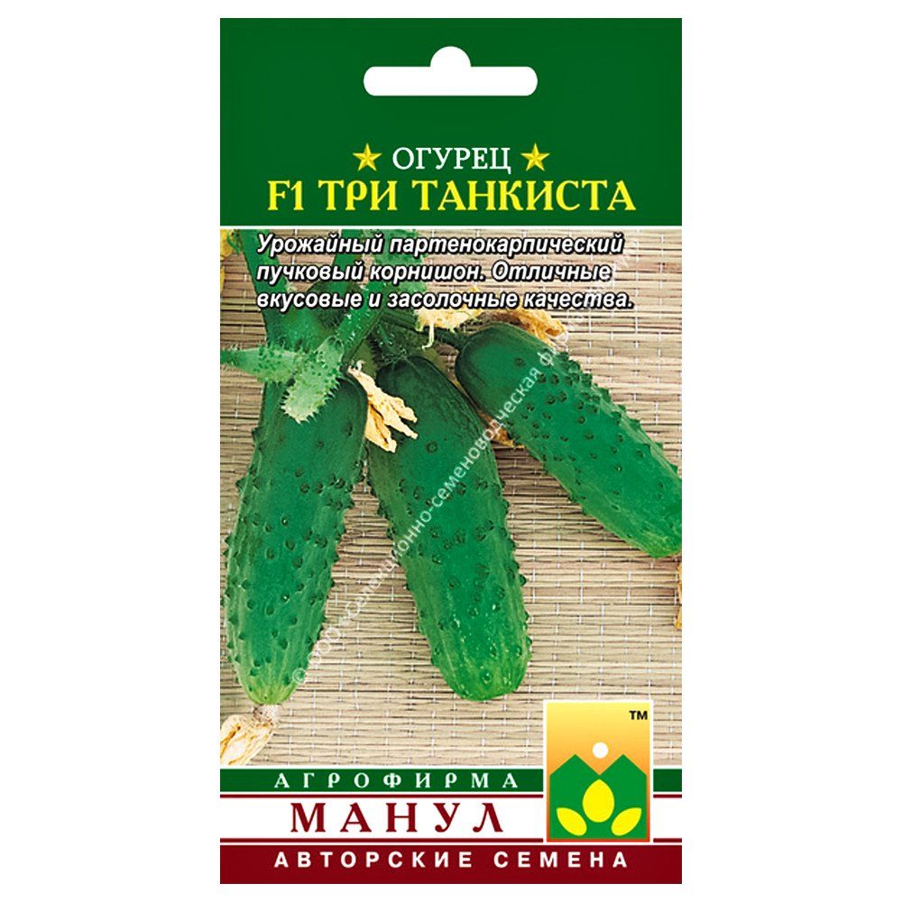 

Огурец Три танкиста F1 Манул