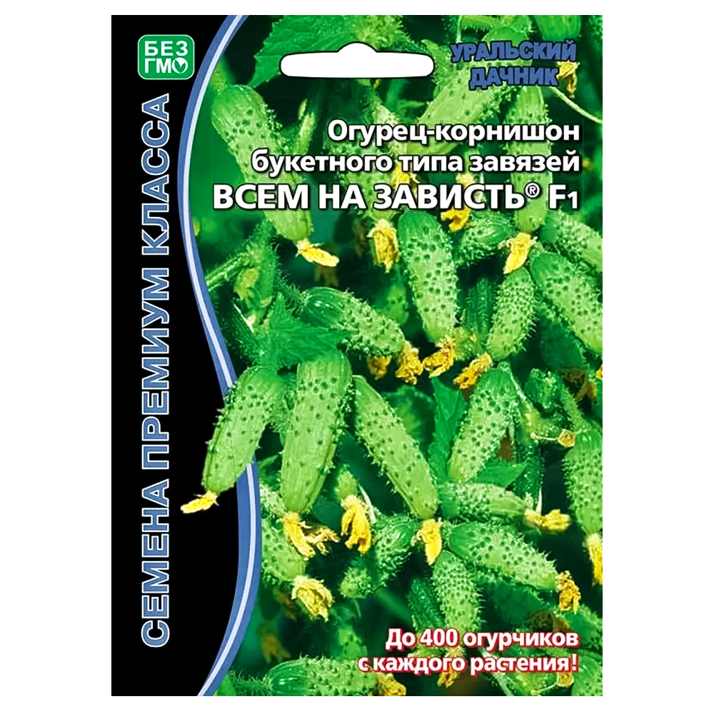 

Огурец суперпучкового типа Всем на зависть F1 Уральский дачник