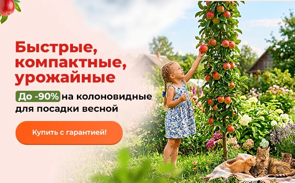 Быстрые, компактные, урожайные! До -90% на колоновидные для посадки весной
