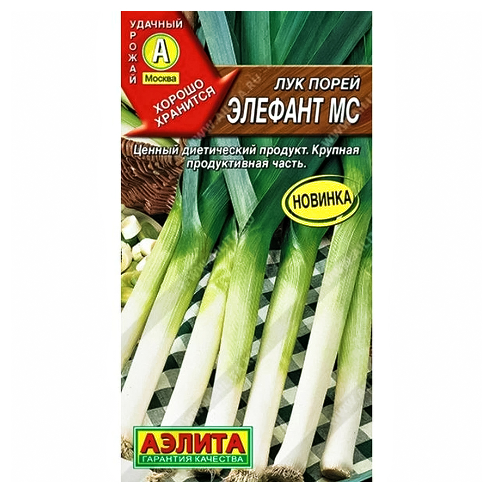 Лук порей Элефант МС Аэлита