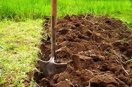 Как подготовить почву к весенней посадке?